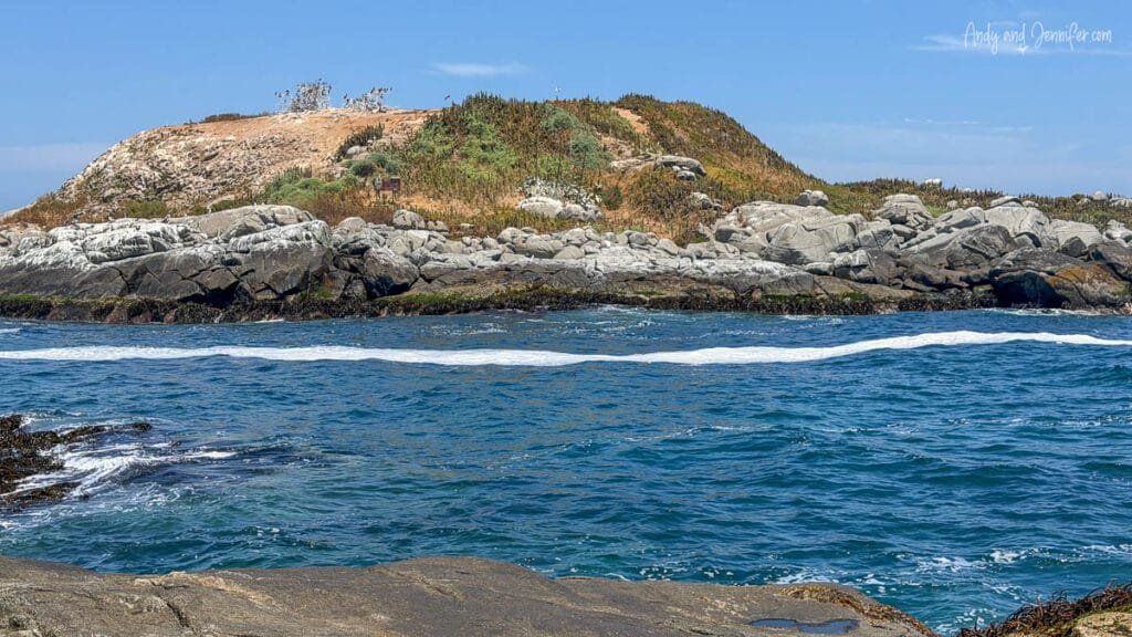 Island habitat where Humboldt penguins nest off the Chilean coast