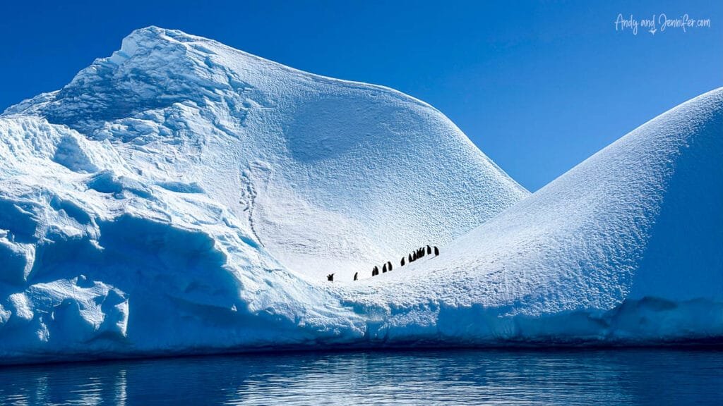 Small group of penguins standing on a snow-covered iceberg in calm Antarctic waters near the Hidden Bay in Antarctica