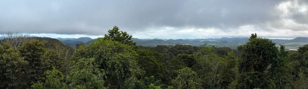 Panoramic view from Canopy Tower overlooking the rainforest canopy and rolling jungle hills near the Panama Canal watershed during a stormy afternoon in Panama