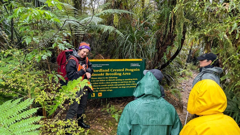 Visitors listening to guide at conservation sign in rainforest near Lake Moeraki Wilderness Lodge