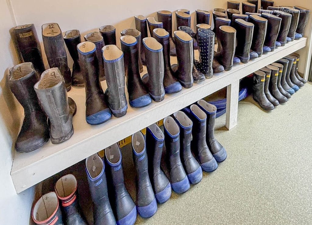 Rows of muck boots provided for guided walks at Lake Moeraki Wilderness Lodge