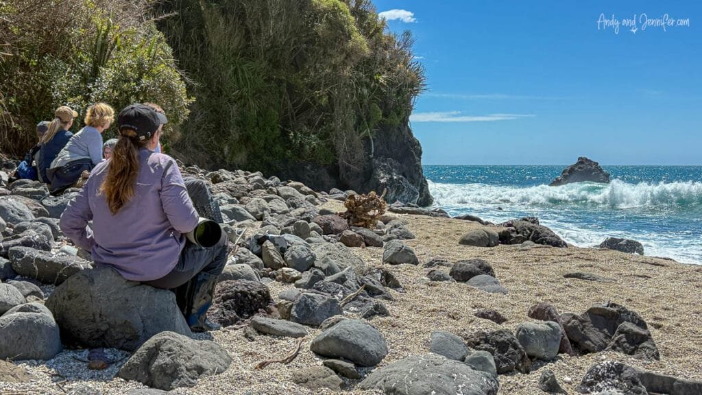 Visitors sitting on rocky beach waiting for Fiordland penguins, West Coast New Zealand