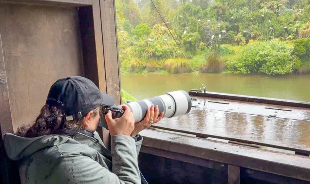 Wildlife photographer shooting from viewing hide at Waitangiroto White Heron Sanctuary in rainy conditions