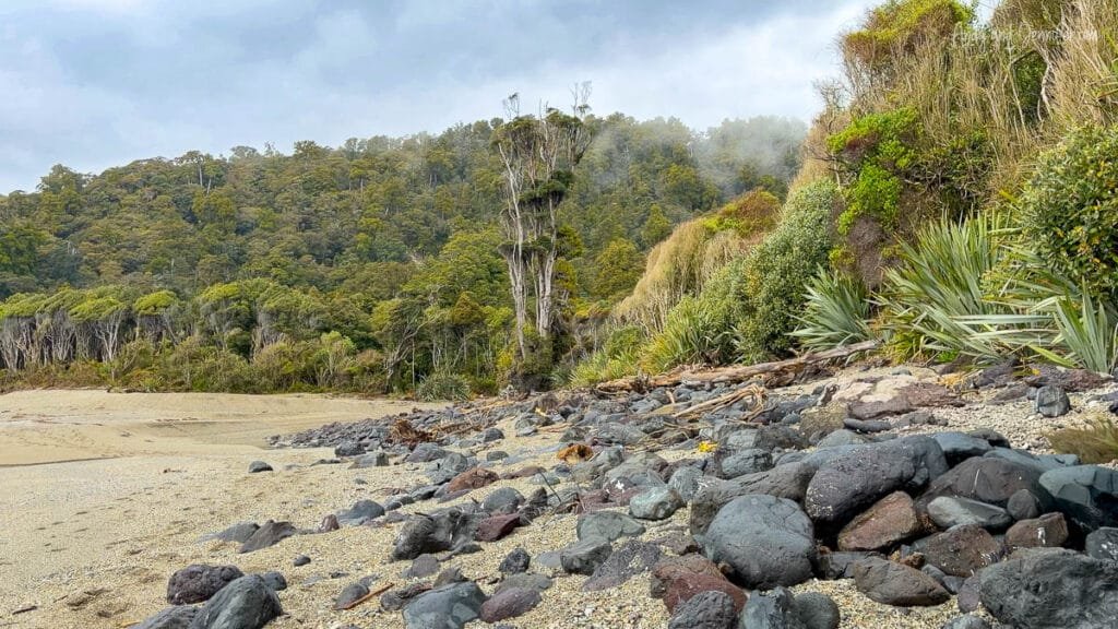 Rocky beach and coastal forest habitat of Fiordland penguins, West Coast New Zealand