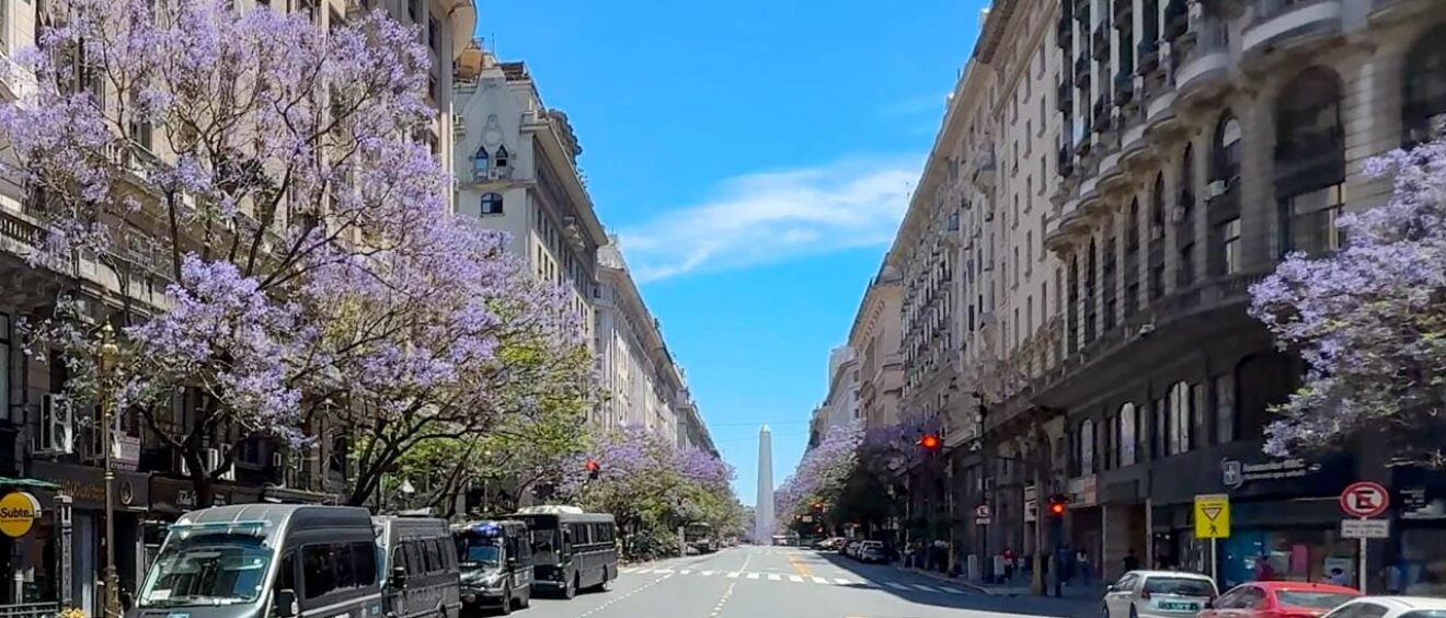 treet lined with jacaranda trees in bloom in Buenos Aires, Argentina