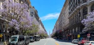 treet lined with jacaranda trees in bloom in Buenos Aires, Argentina