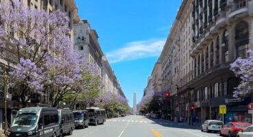 treet lined with jacaranda trees in bloom in Buenos Aires, Argentina