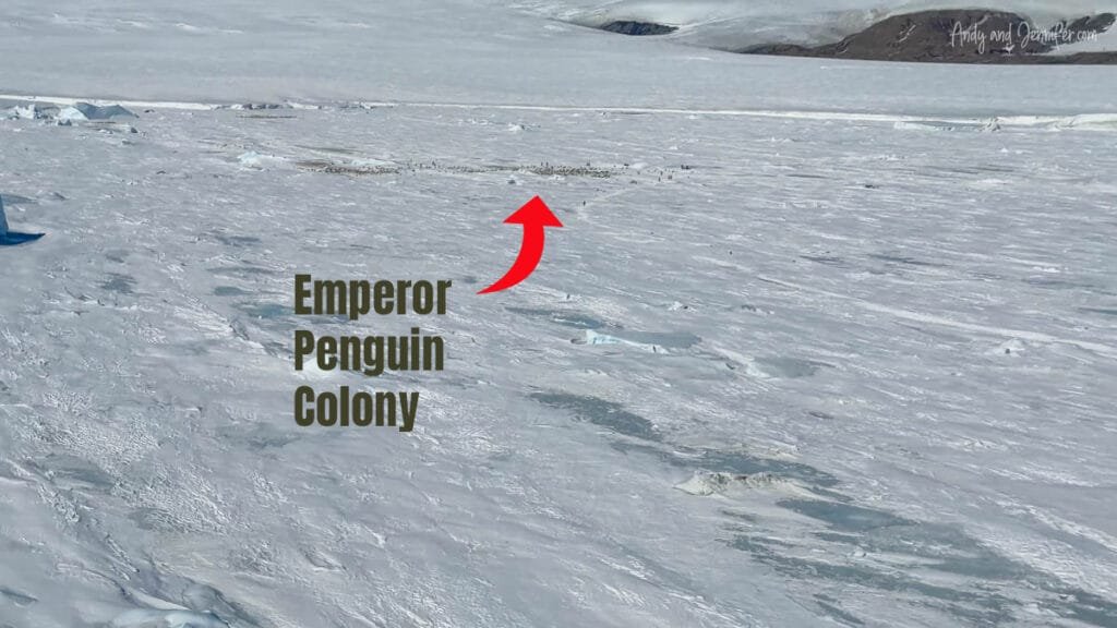 Aerial view of Antarctic sea ice with arrow pointing to emperor penguin colony