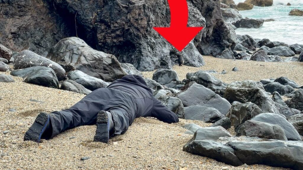 Fiordland penguin resting on rocky beach, highlighted with arrow, South Island, New Zealand