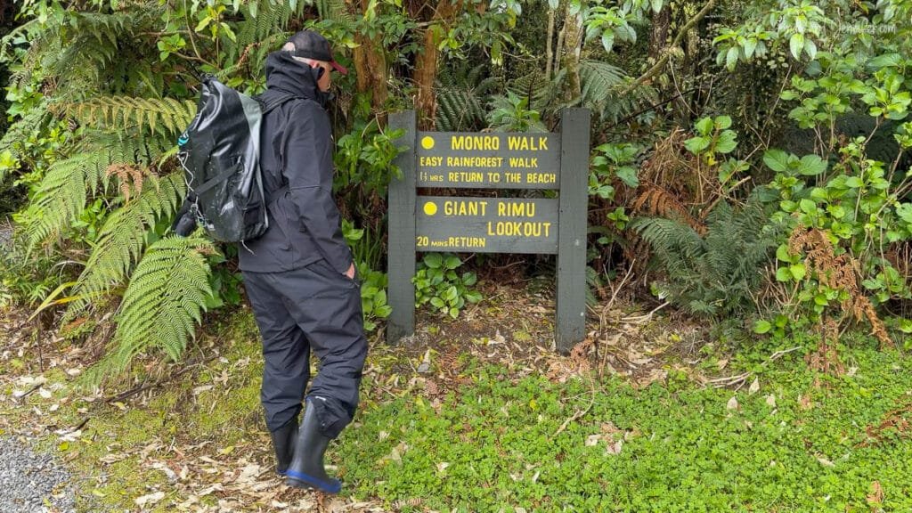 Visitor reading sign about Fiordland penguins near Lake Moeraki, New Zealand