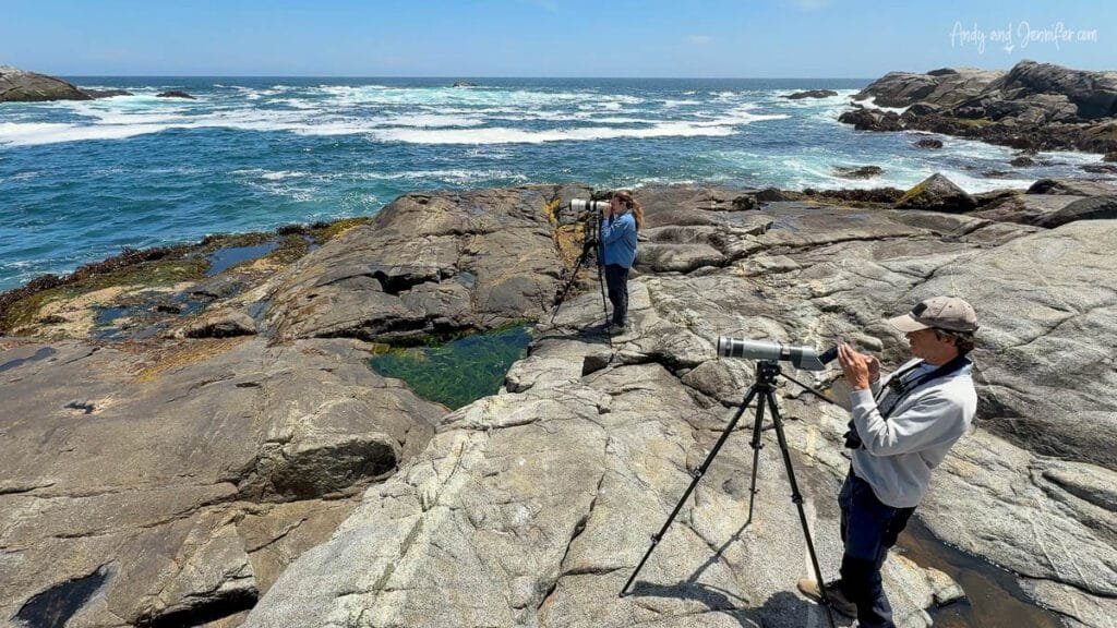 Photographers on rocky coastline viewing Humboldt penguins, Chile