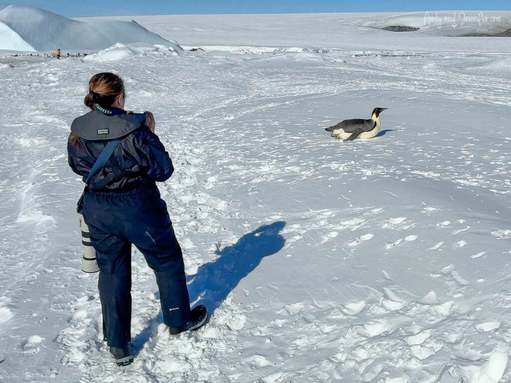 Photographer standing on sea ice taking photo of penguin in Antarctica