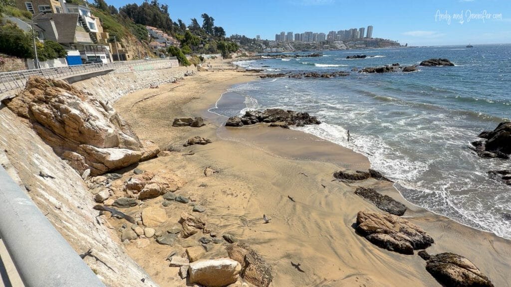 Rocky and sandy coastline in Viña del Mar where Inca terns can be seen, Chile