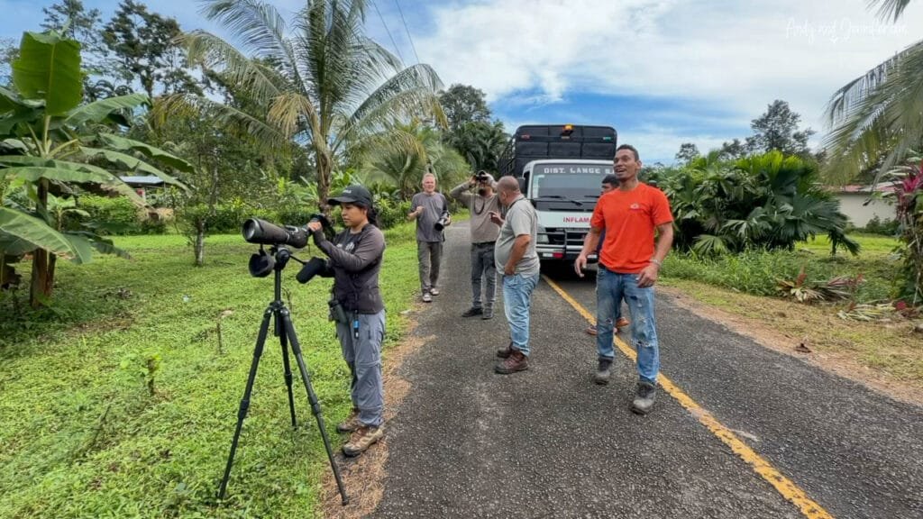 Birders using a spotting scope to observe king vultures along a roadside near Río Cañaza, Panama.