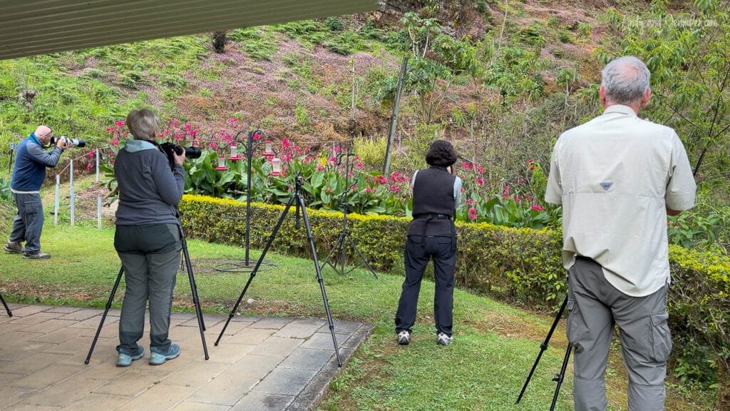 Members of our photography group set up cameras and tripods to photograph hummingbirds feeding among colourful flowers at Batsu Gardens in Costa Rica's cloud forest.