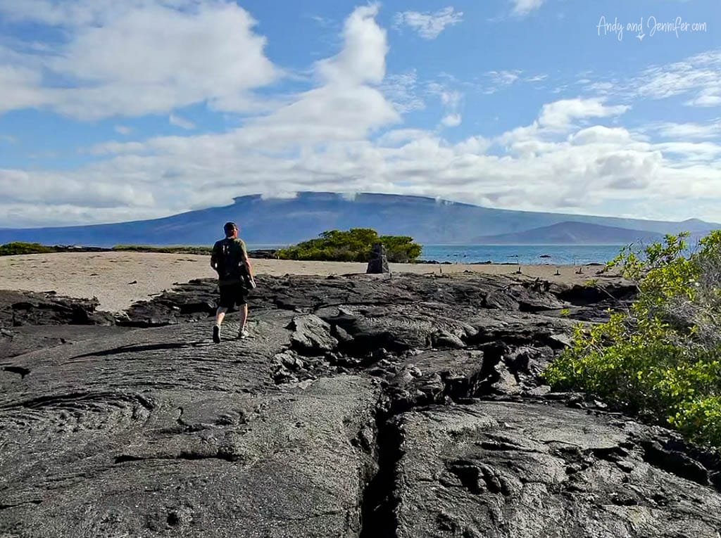 Walking across the volcanic lava landscape at Espinoza Point on Fernandina Island, Galápagos.