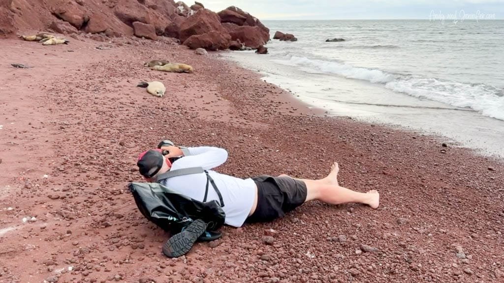 Wildlife photographer lying on the red sand beach photographing sea lions on Rábida Island, Galápagos.