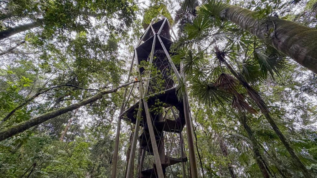Observation tower rising above the rainforest canopy in Soberanía National Park near Canopy Tower Panama, surrounded by dense tropical forest and palm trees.