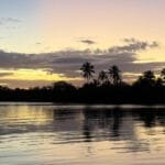 A small tropical island is silhouetted against a golden Caribbean sunset in Panama, with palm trees reflected in the calm water beneath a colourful morning sky.