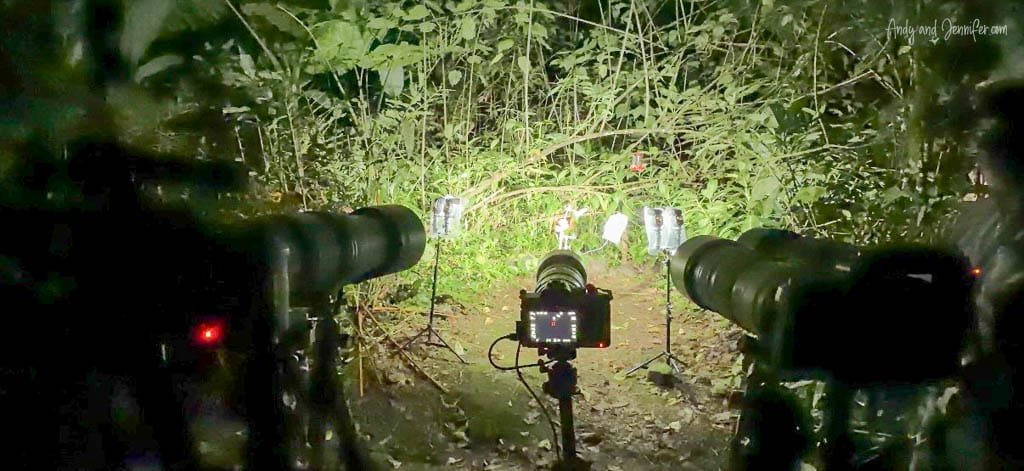 Camera and motion-triggered flash setup for photographing bats at night at Rancho Naturalista, Costa Rica.