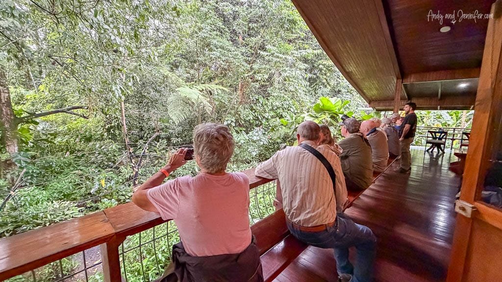 Birdwatchers photographing birds from the covered feeder balcony at Selva Verde Lodge in Costa Rica.