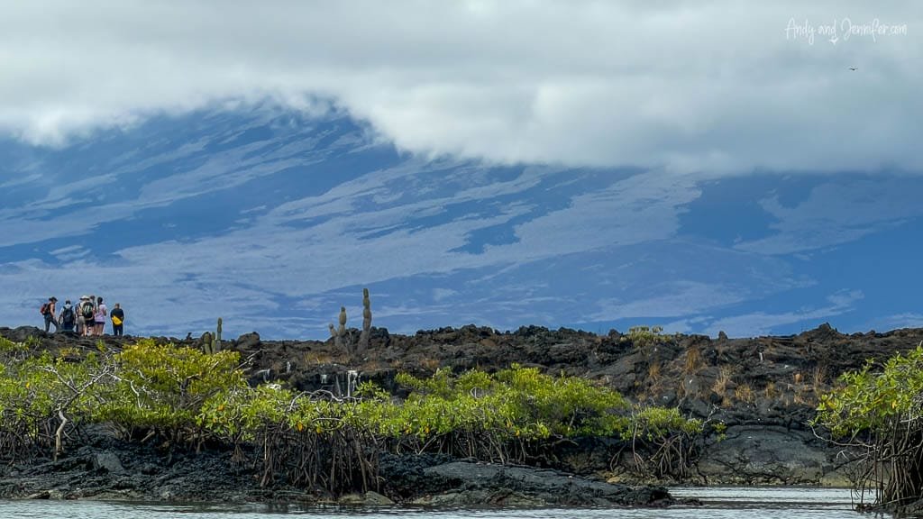 Visitors hiking across the volcanic landscape at Moreno Point on Isabela Island in the Galápagos.