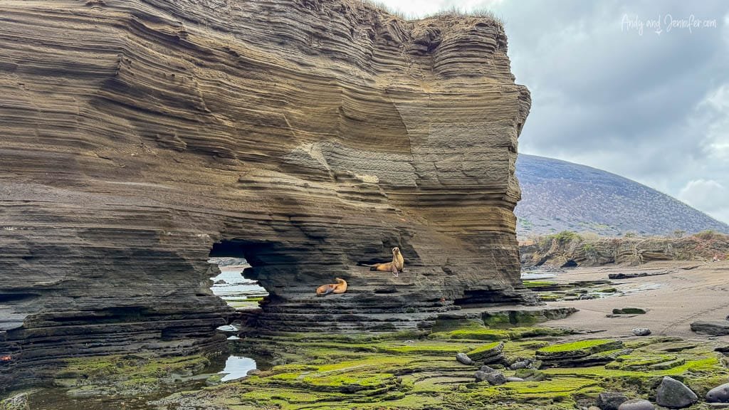 Volcanic shoreline and eroded rock formations at Egas Port on Santiago Island, Galápagos.