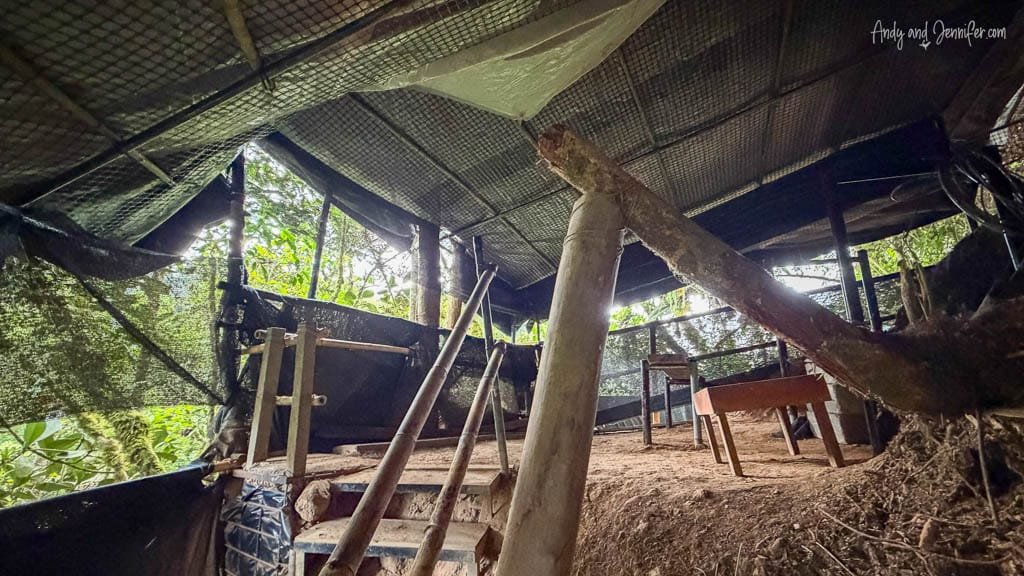 Two-level bird photography hide overlooking the Andean cock-of-the-rock lek at Finca La Victoriana, Ecuador.