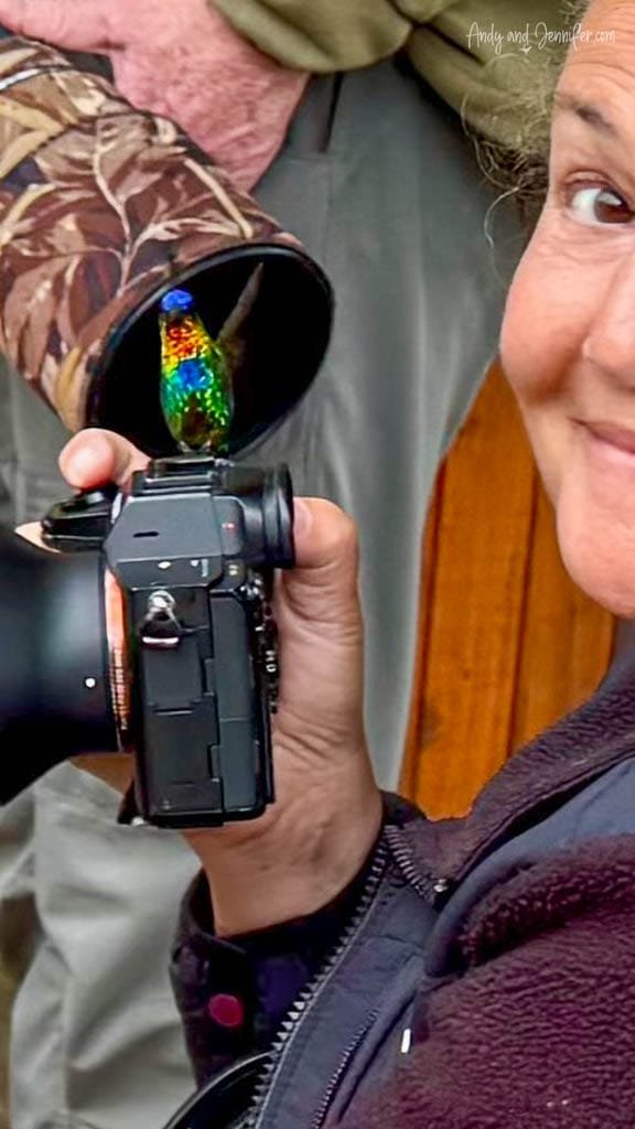 Fiery-throated Hummingbird perched on the lens of a camera at Mirador de Quetzales on Cerro de la Muerte, Costa Rica.