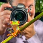 Red-eyed tree frog perched on a branch while being photographed during a herping photography session at Laguna Lagarto, Costa Rica.