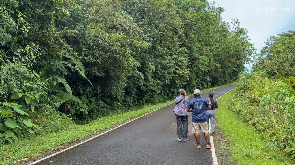Birding along Camino de la Divisoria Continental through cloud forest in western Panama.