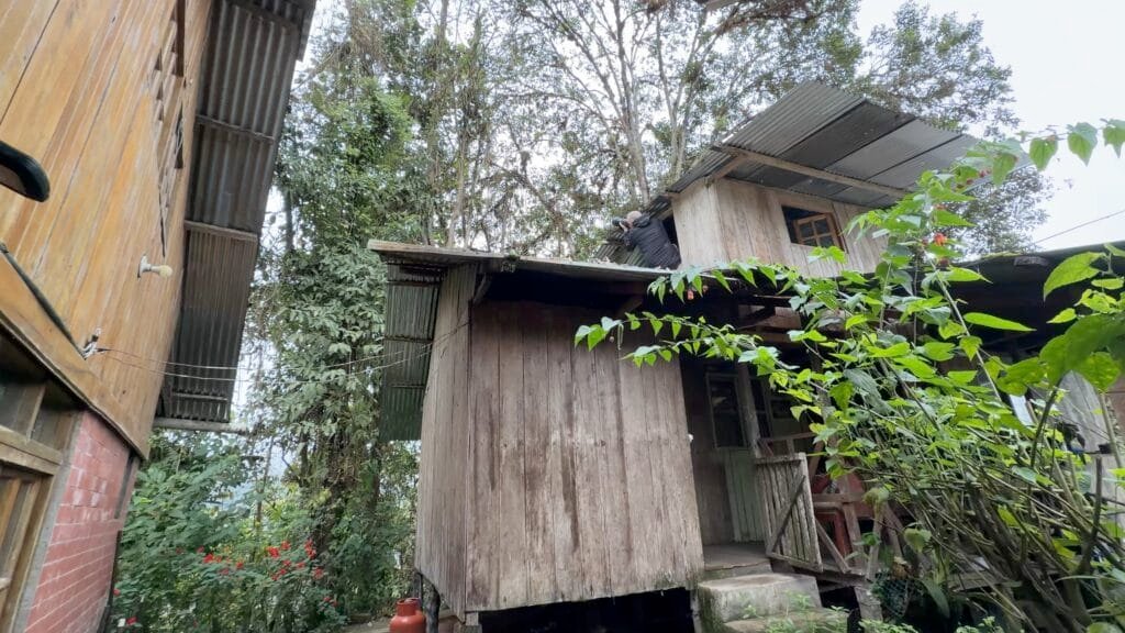 Andy leaning from an upstairs window at Balcón Tumpiki in Ecuador while trying to photograph a plate-billed mountain toucan.