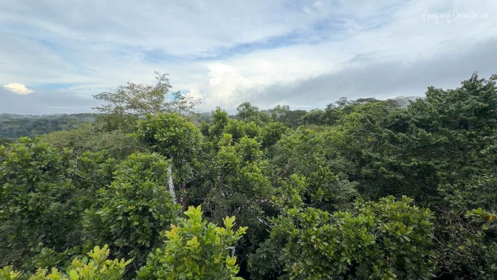 Rainforest canopy view from an observation tower in Soberanía National Park near Canopy Tower Panama after morning rain clearing over the forest.
