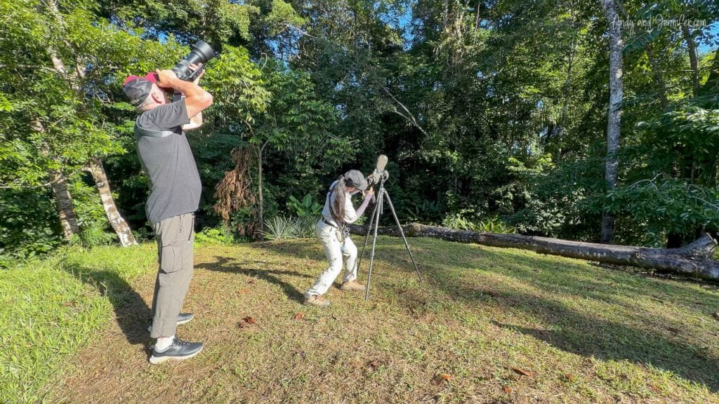 Birders searching for woodpeckers in forest along the Isla Venada Canal on Isla Popa, Bocas del Toro, Panama.