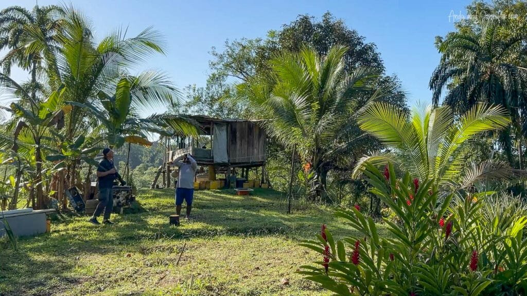 Small stilt house surrounded by tropical vegetation on Isla Popa, Bocas del Toro, Panama.