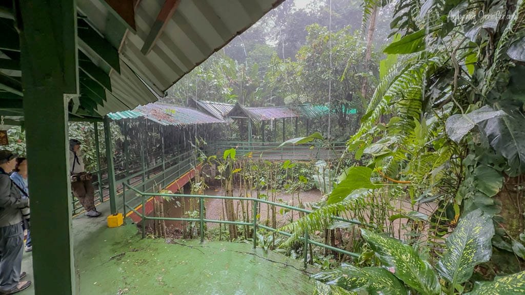 Covered walkways through the rainforest during heavy rain at Selva Verde Lodge in Costa Rica.