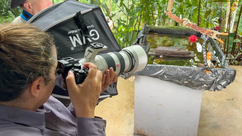 Photographer using a telephoto lens beside a small water setup during a snake photography session.