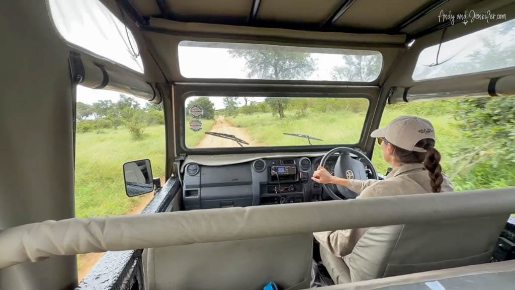 Driving a safari vehicle along a dirt track through the bush at MalaMala Game Reserve, South Africa.