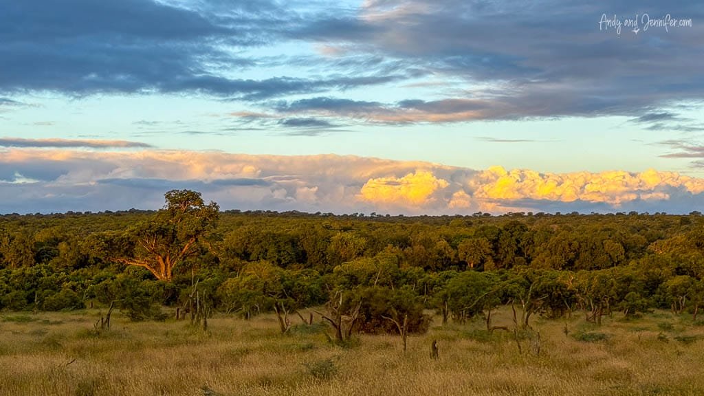 Evening light over the bush at MalaMala Game Reserve, with dramatic clouds glowing on the horizon.